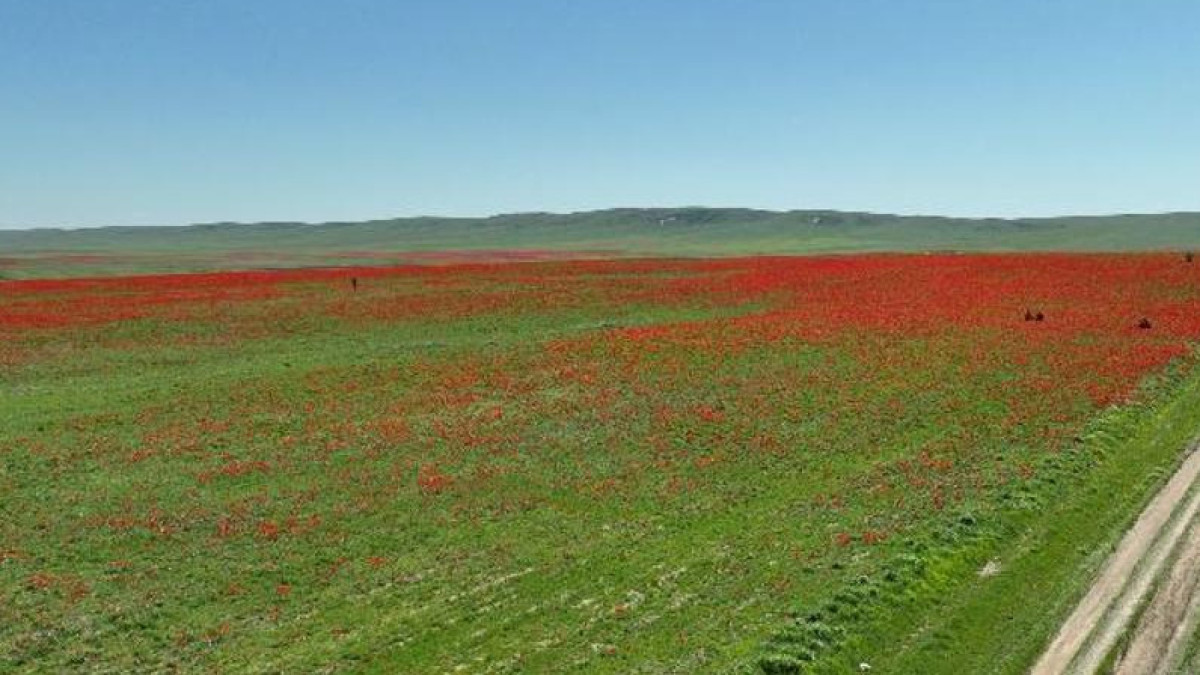  Министерство сельского хозяйства РК