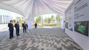 Фотография к новости: 5 млн деревьев высадили в Казахстане за 2 года