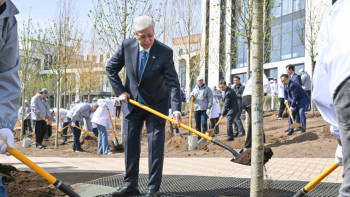 Фотография к новости: Токаев посадил дерево в столичном парке