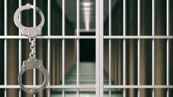 Фотография к новости: За что фигуранты из двух регионов страны оказались под арестом