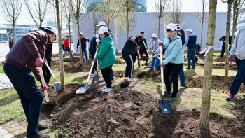 Фотография к новости: 130 деревьев высадили на территории комплекса EXPO