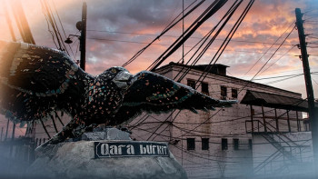 Фотография к новости: «Черный беркут»: кто отбывает пожизненные сроки и что остаётся за закрытыми дверями