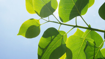 Фотография к новости: В каких регионах страны объявили штормовое предупреждение на 28 апреля