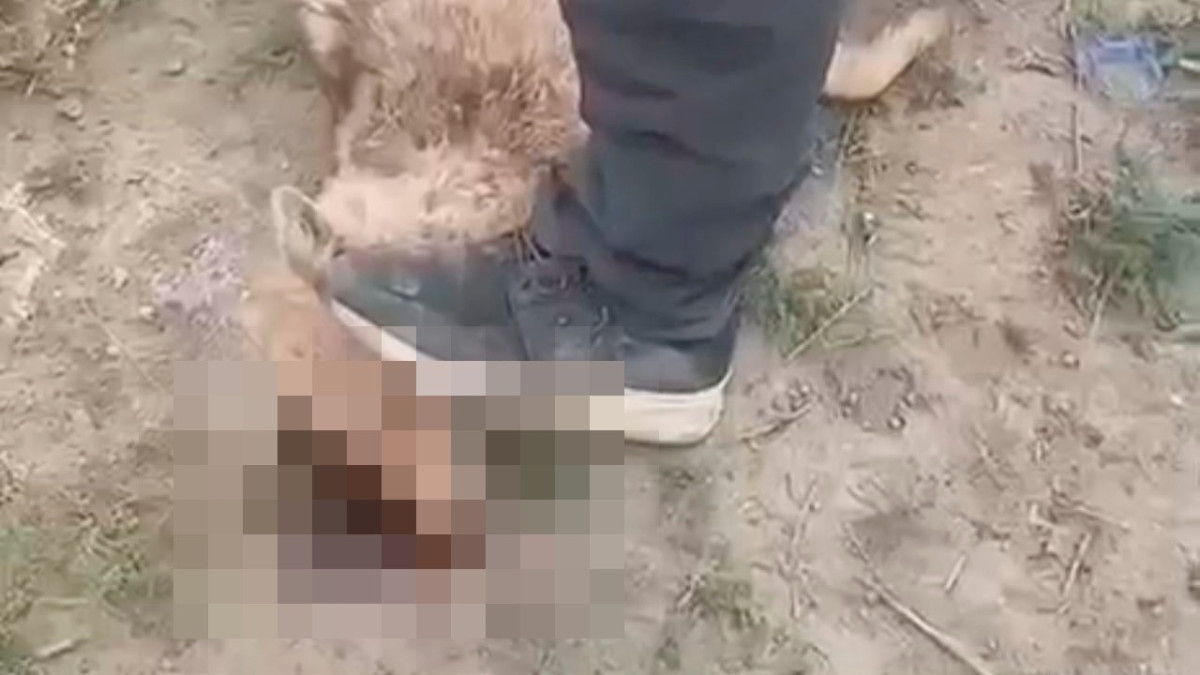  кадр из видео