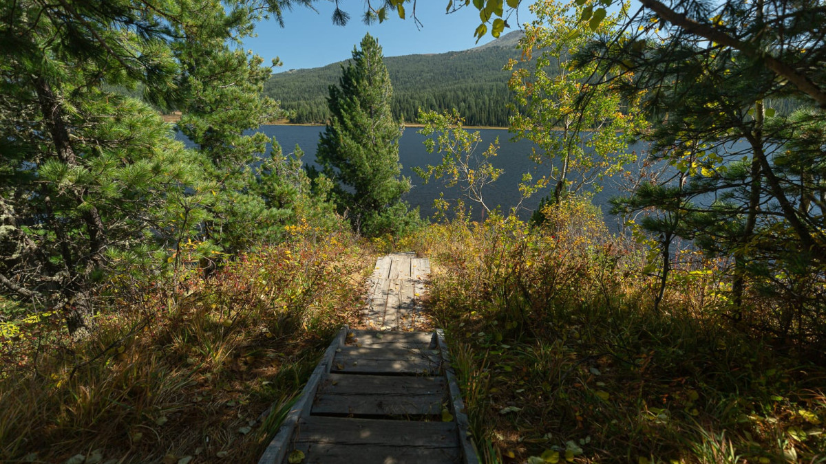  Chursinov Artem/Baq.kz