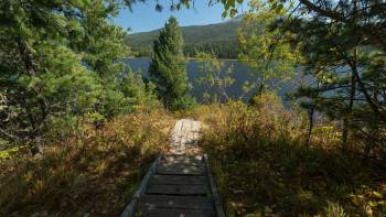 Фотография к новости: В области Абай ужесточили расчет ущерба за вырубку деревьев