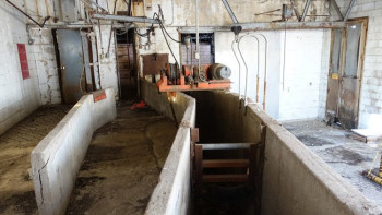 Фотография к новости: Казахстан резко сократил ошибки в учете животных