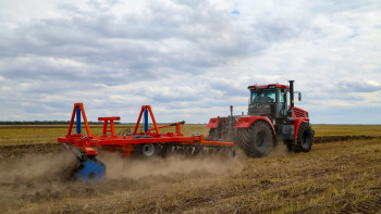 Фотография к новости: В Жетысу увеличат посевы кукурузы и урожай