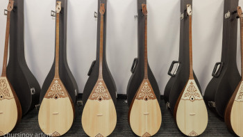 Фотография к новости: Правила перевозки домбры: чего ждать пассажирам