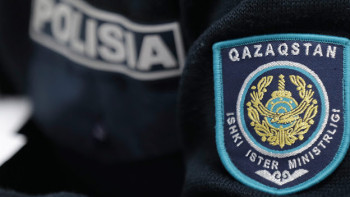 Фотография к новости: Торговля младенцем, вебкам и ВИЧ: что выявила полиция в регионах Казахстана