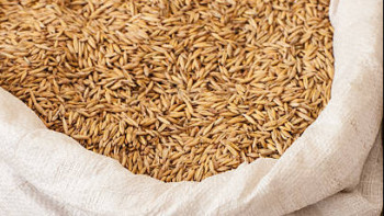 Фотография к новости: Израиль обвинили в покупке «краденого» зерна