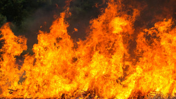 Фотография к новости: Фейерверки в кафе Алматы попали на видео: ДЧС начало проверку