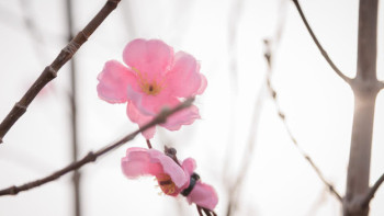 Фотография к новости: Какая погода ожидается в Казахстане