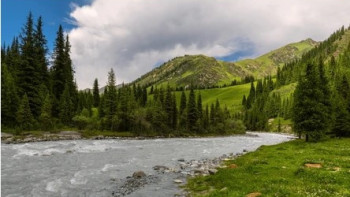 Фотография к новости: Купаться запрещено: в Алматы назвали опасные водоемы