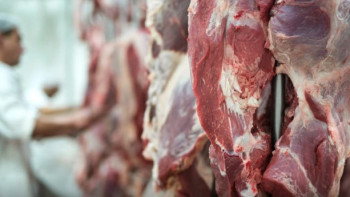 Фотография к новости: Мировой рейтинг цен на мясо: дорого ли оно в Казахстане?