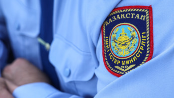 Фотография к новости: В МВД рассказали, кого может затронуть уголовная амнистия