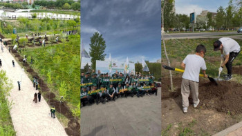 Фотография к новости: Туристический бизнес провел экоакцию в столице