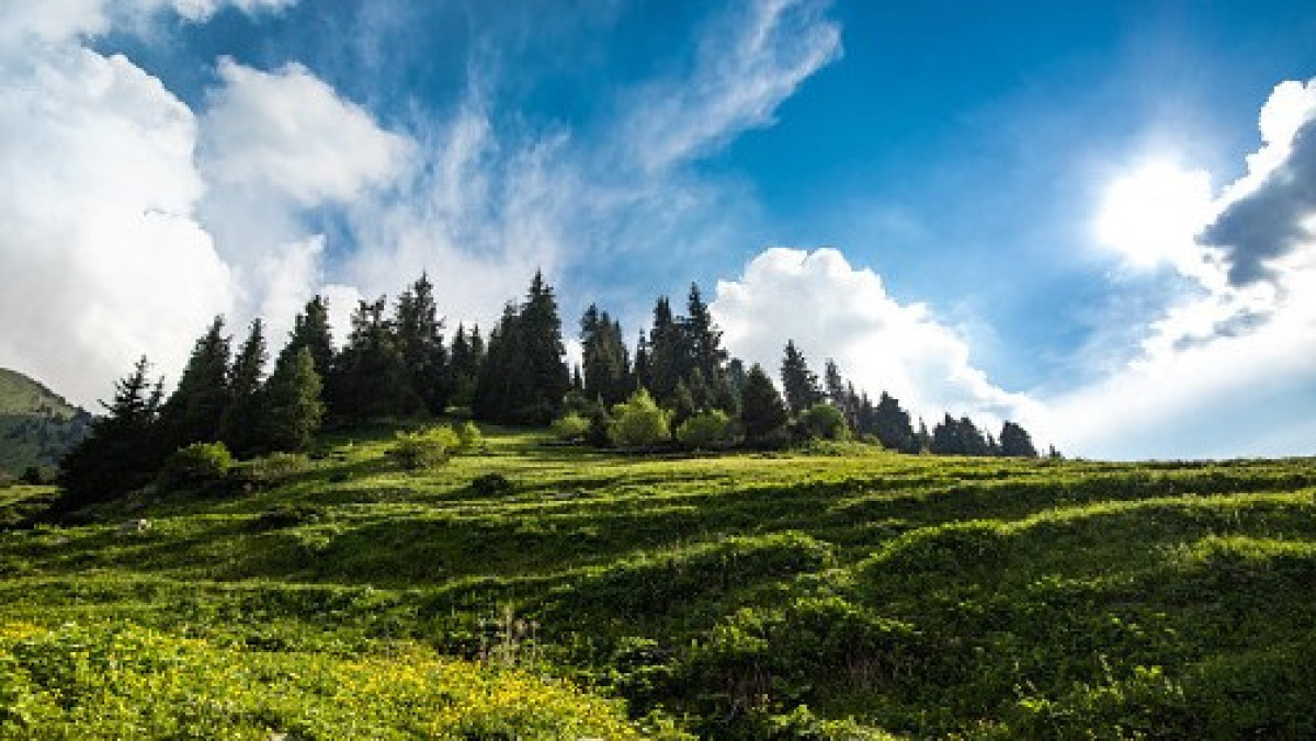  istockphoto