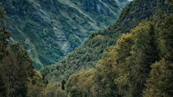 Фотография к новости: Мужчине стало плохо в горах Алматы на  высоте 2600 метров