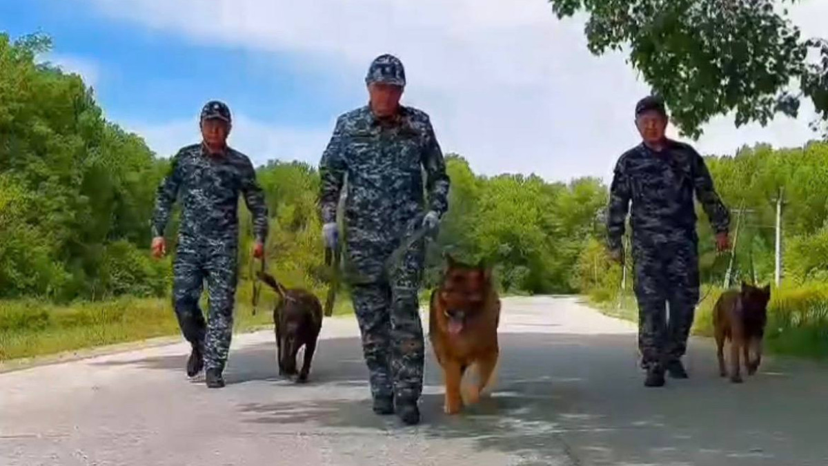  Скриншот видео