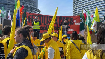 Фотография к новости: Европейские фермеры провели акцию протеста у Европарламента в Страсбурге
