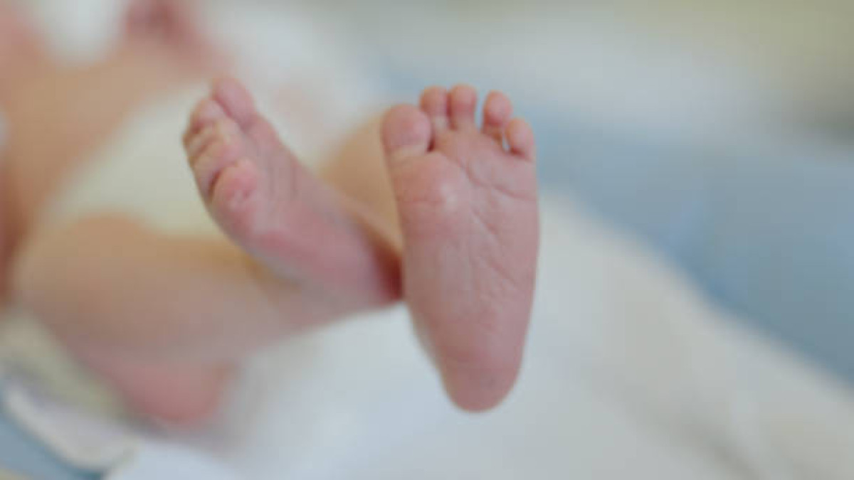  istockphoto
