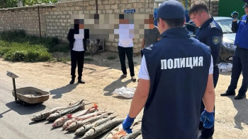 Фотография к новости: В пригороде Актау полиция изъяла осетровую рыбу и гашиш