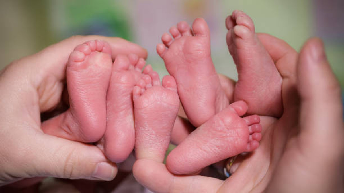  istockphoto