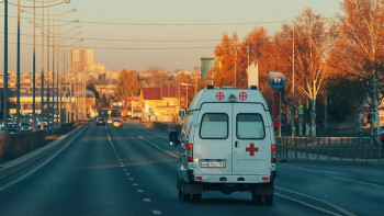 Фотография к новости: В Анголе при сходе оползня на шахте по добыче золота погибли 28 человек