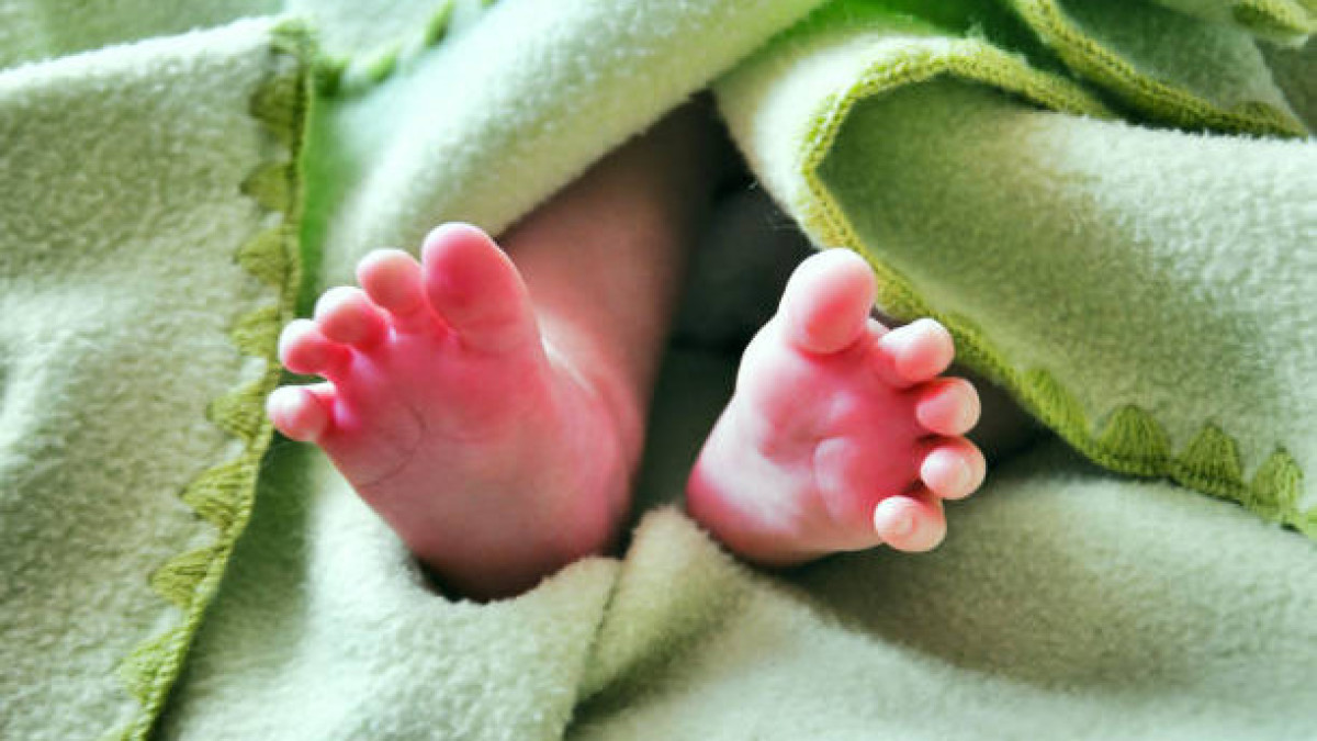 istockphoto