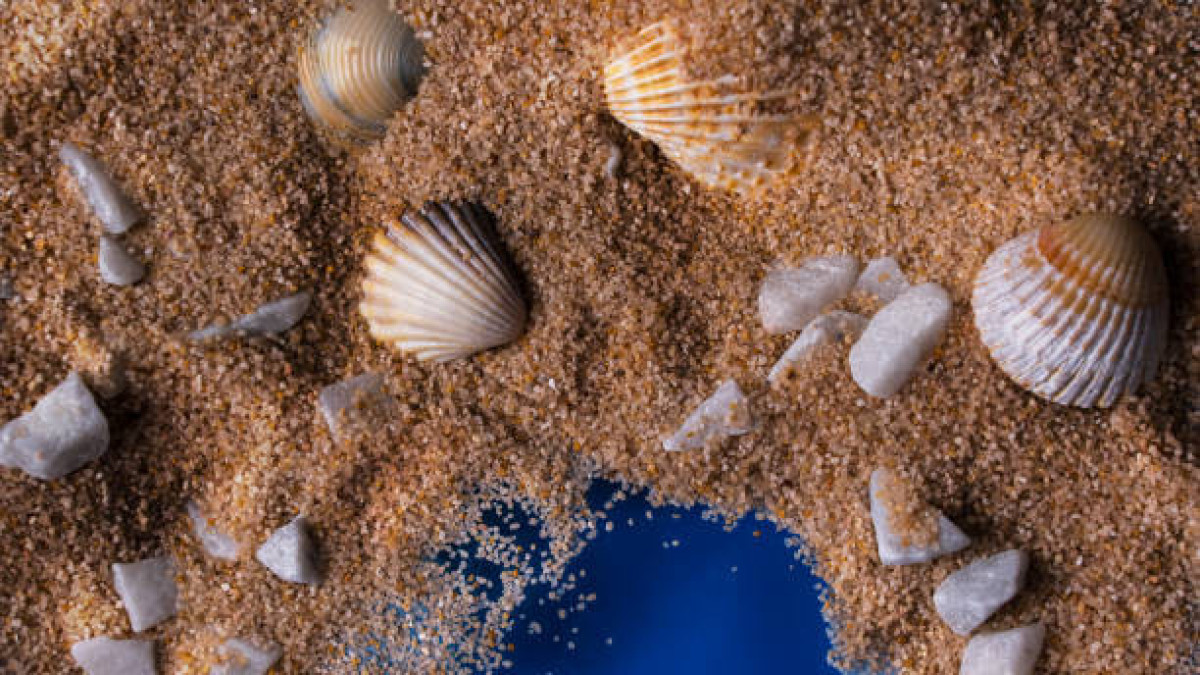  Istockphoto