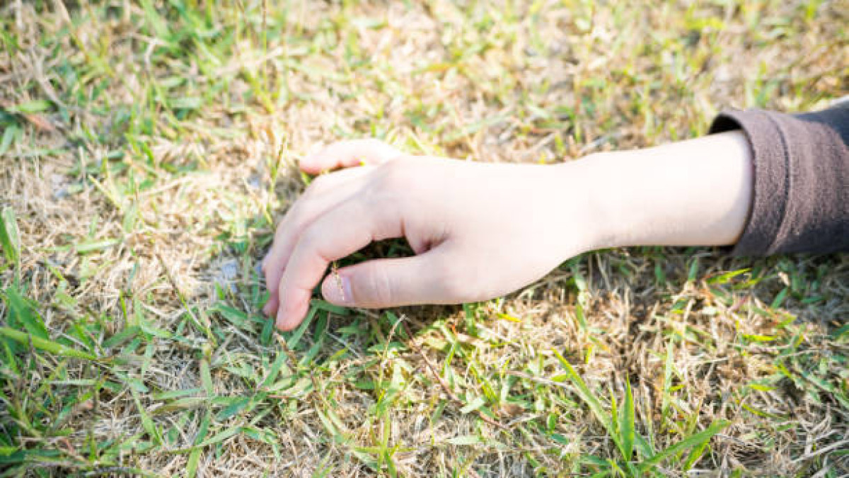  istockphoto