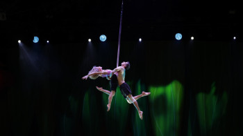 Фотография к новости: За кулисами Cirque du Soleil: как в Астане готовятся к премьере легендарного шоу OVO