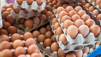 Фотография к новости: Нелегальную яичную продукцию продавали на рынке в Шымкенте