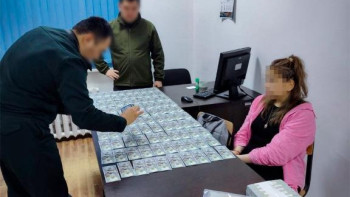Фотография к новости: Казахстанка пыталась вывезти из страны почти 300 тысяч долларов
