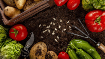 Фотография к новости: До 2029 года в переработку сельхозпродукции инвестируют около $4 млрд