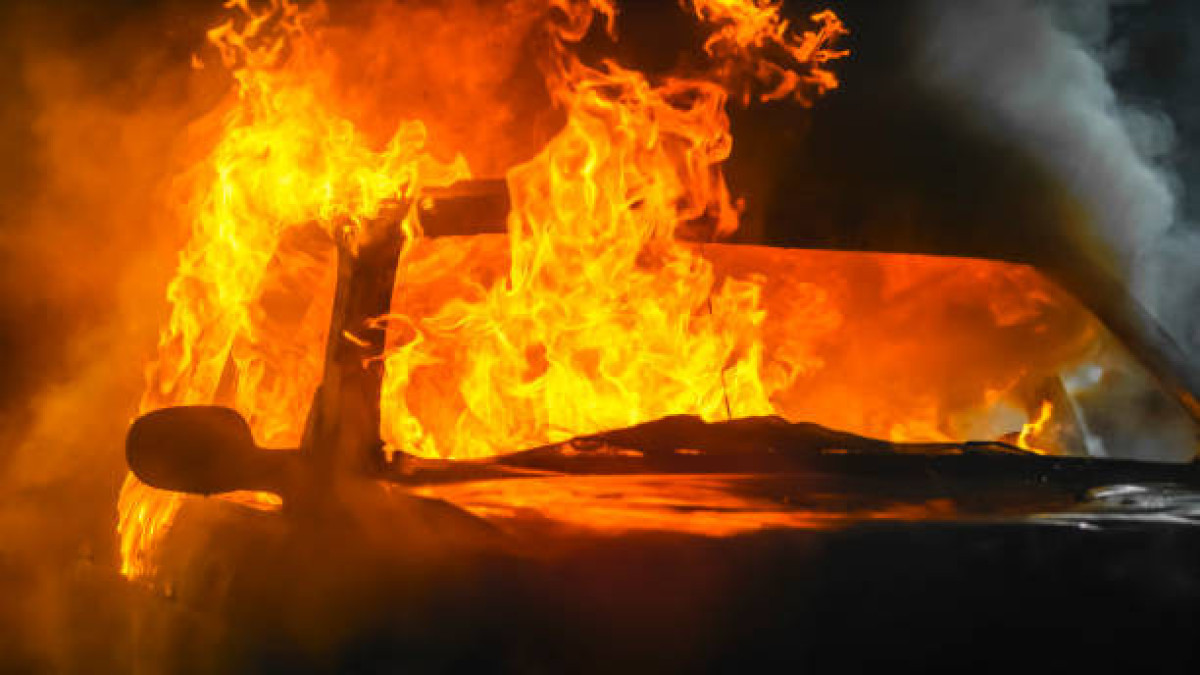  Istockphoto