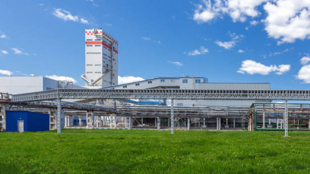  Istockphoto