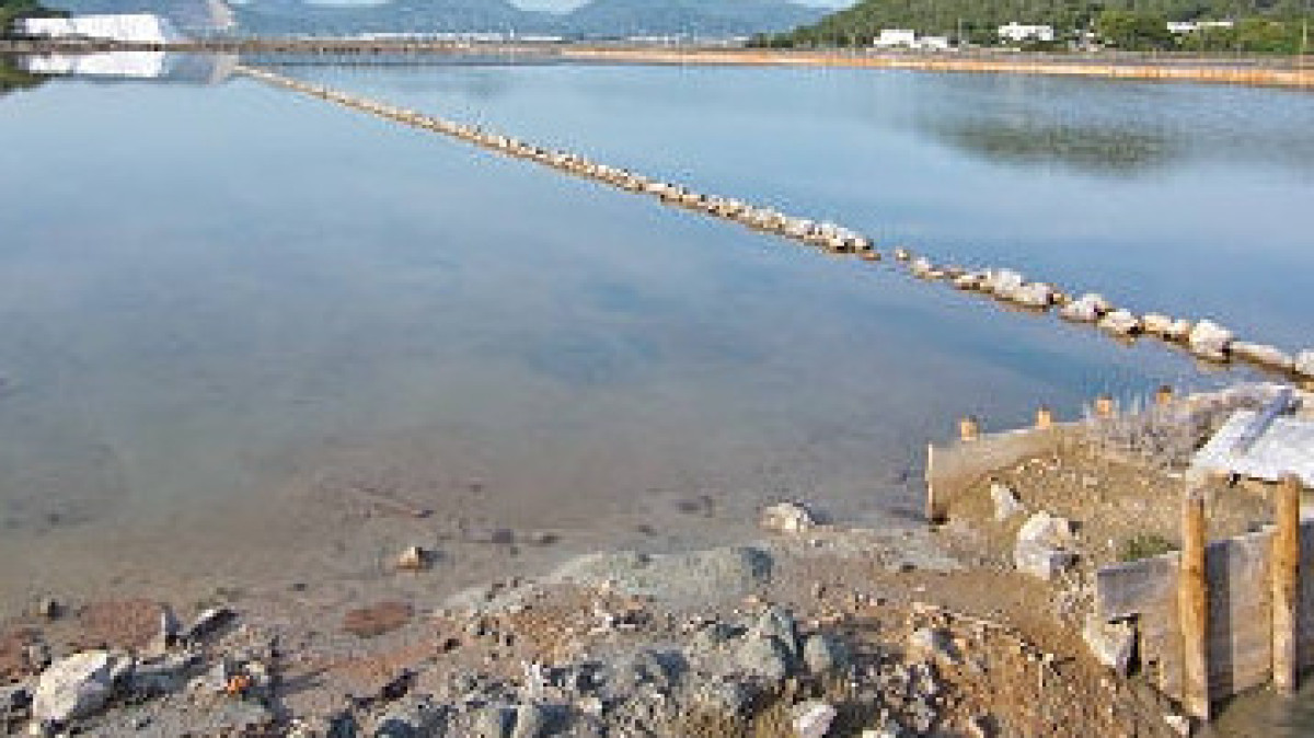  Istockphoto