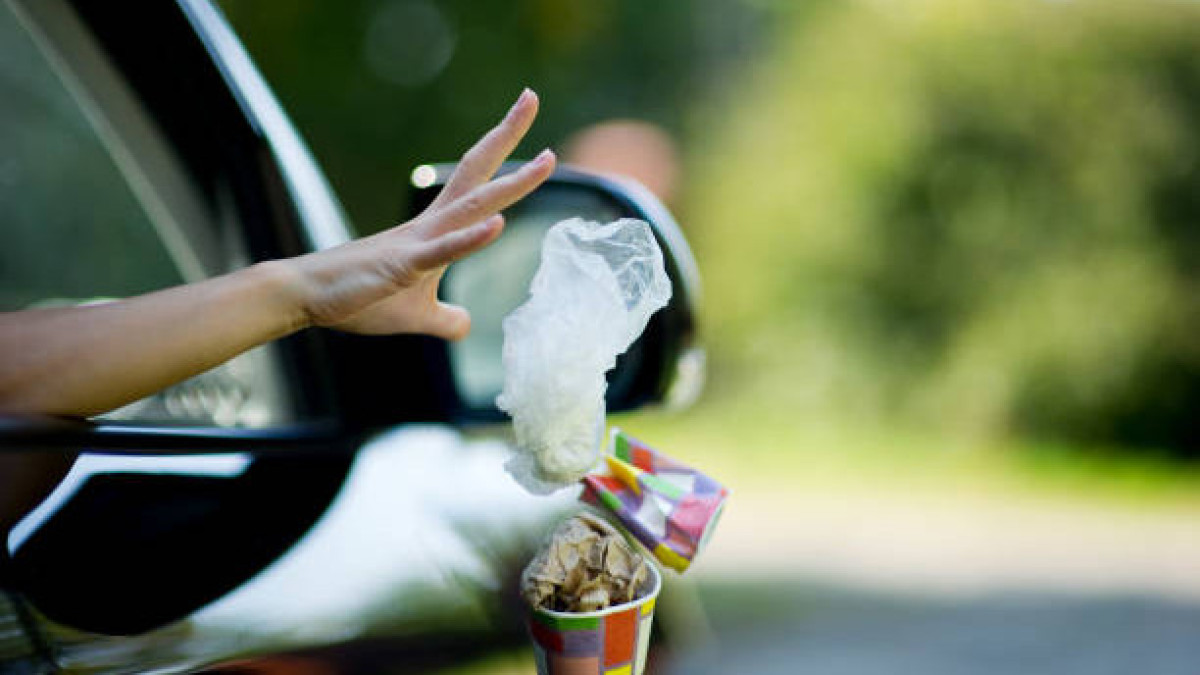  Istockphoto