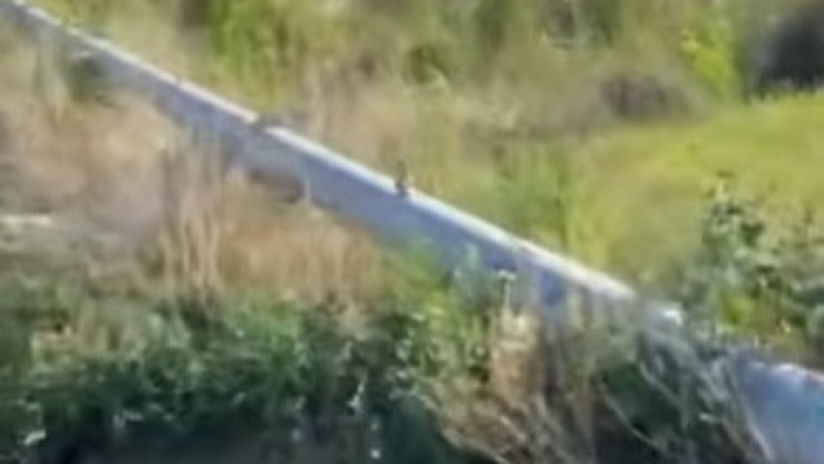  кадр из видео