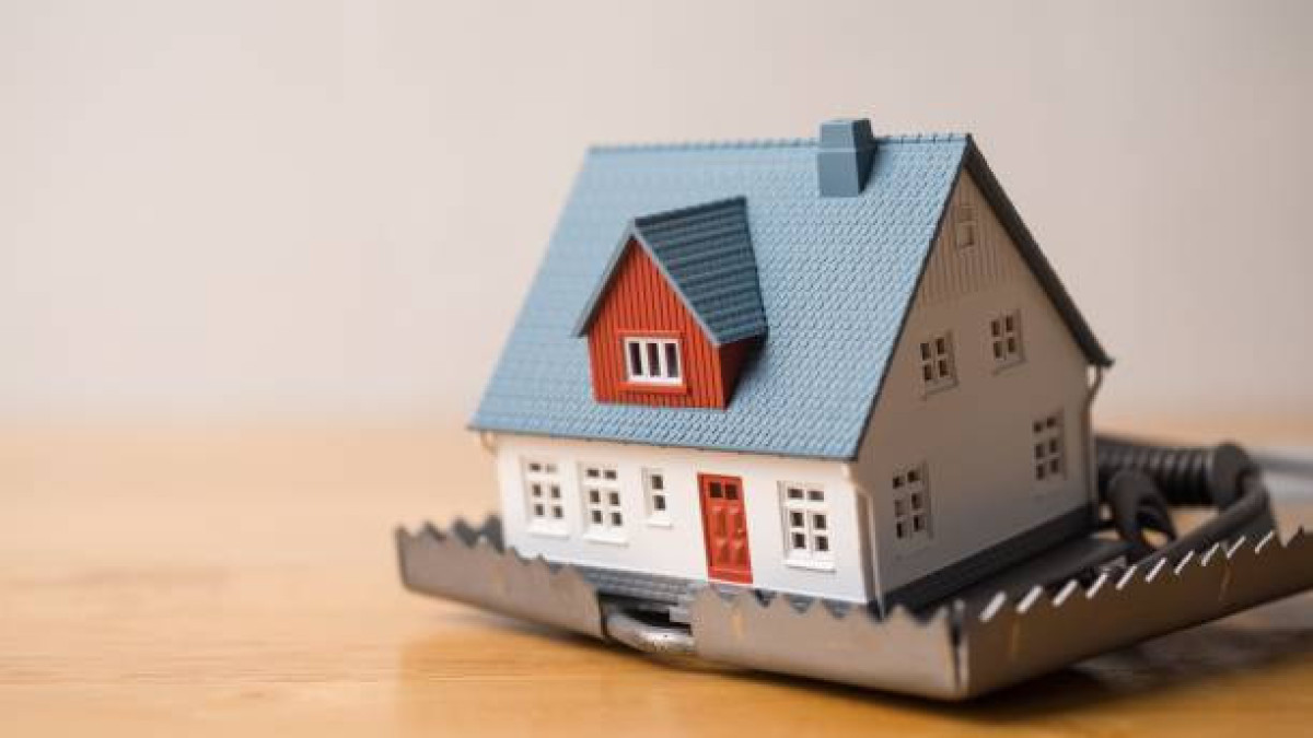  Istockphoto