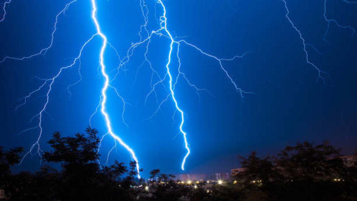  Istockphoto