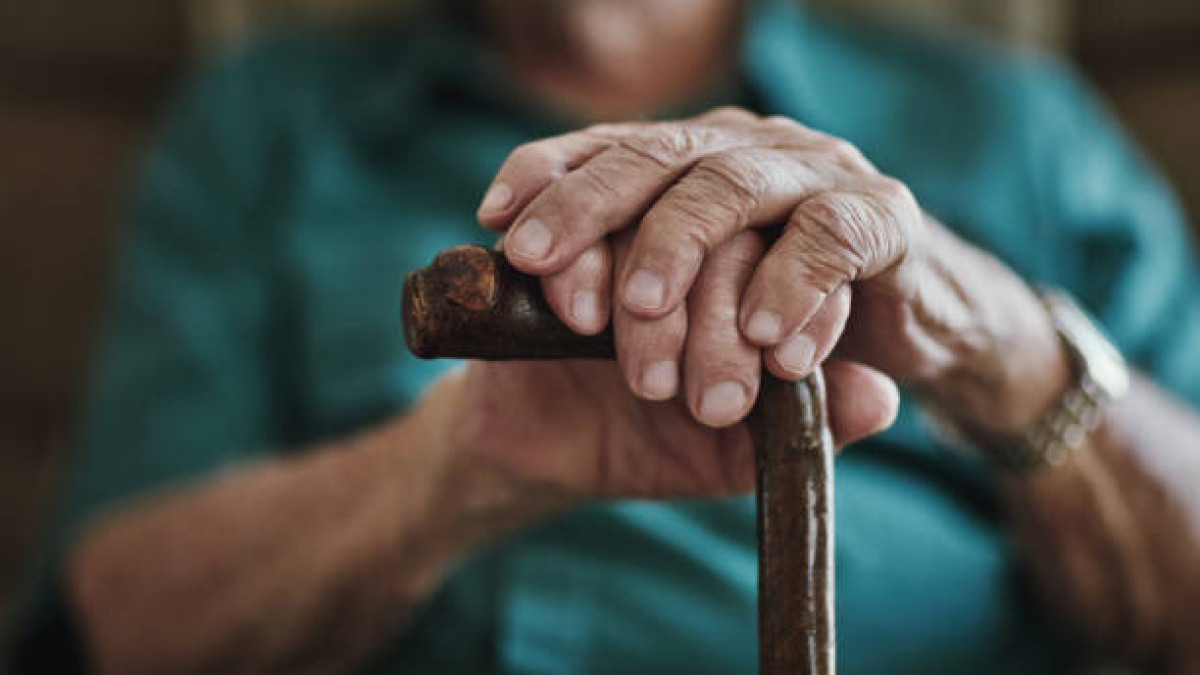  Istockphoto