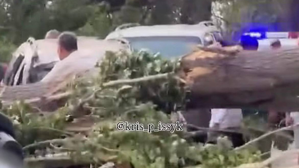  Скриншот видео