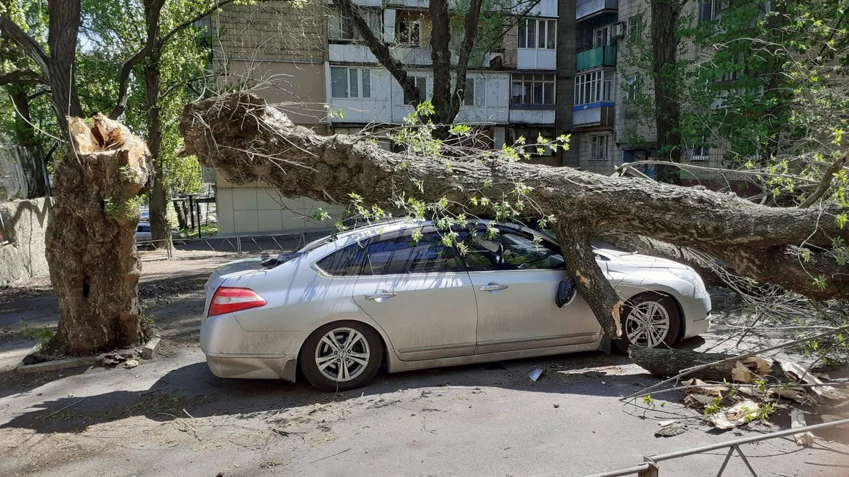  из соцсетей