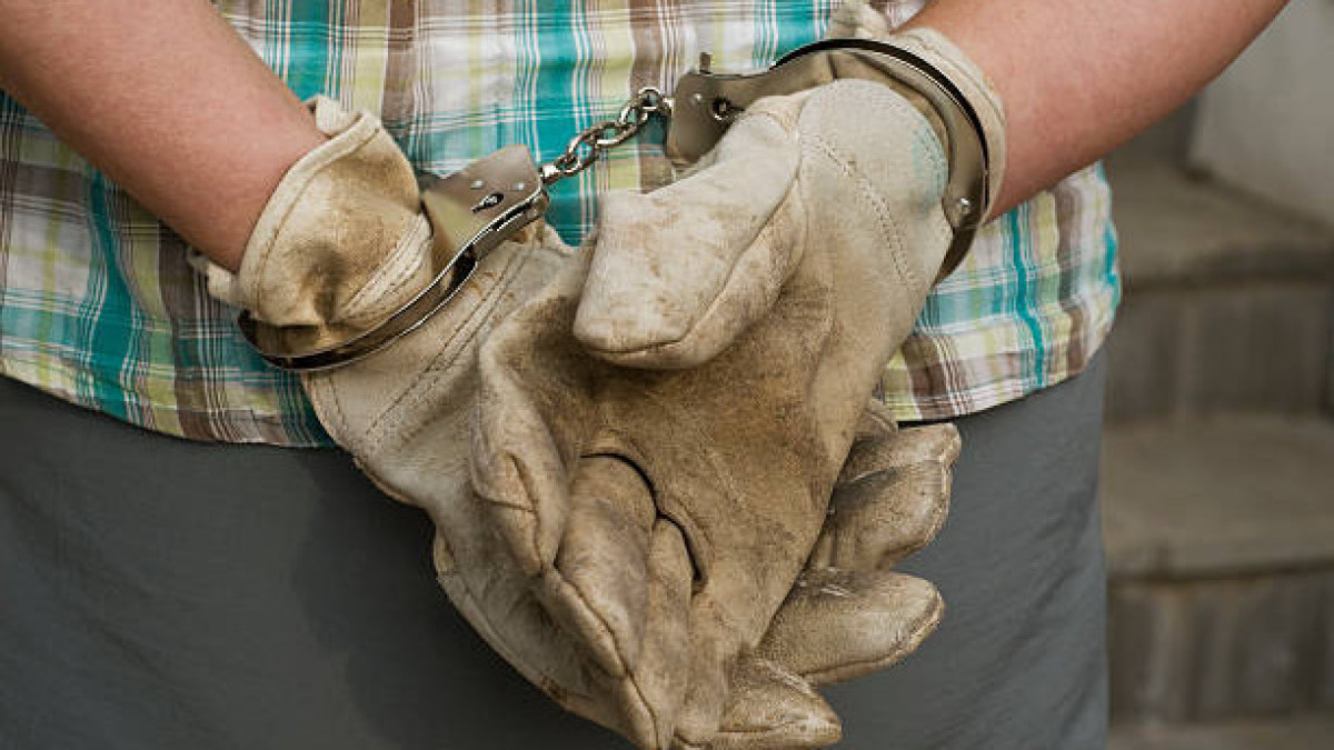  Istockphoto