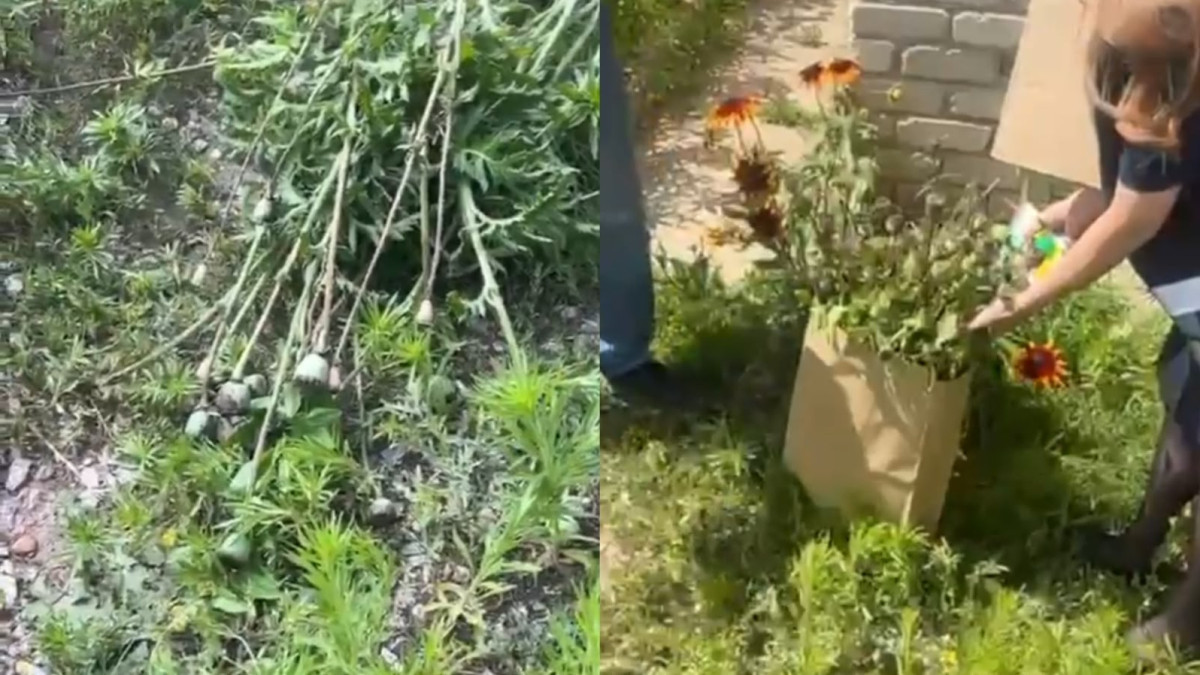  кадр из видео ДП