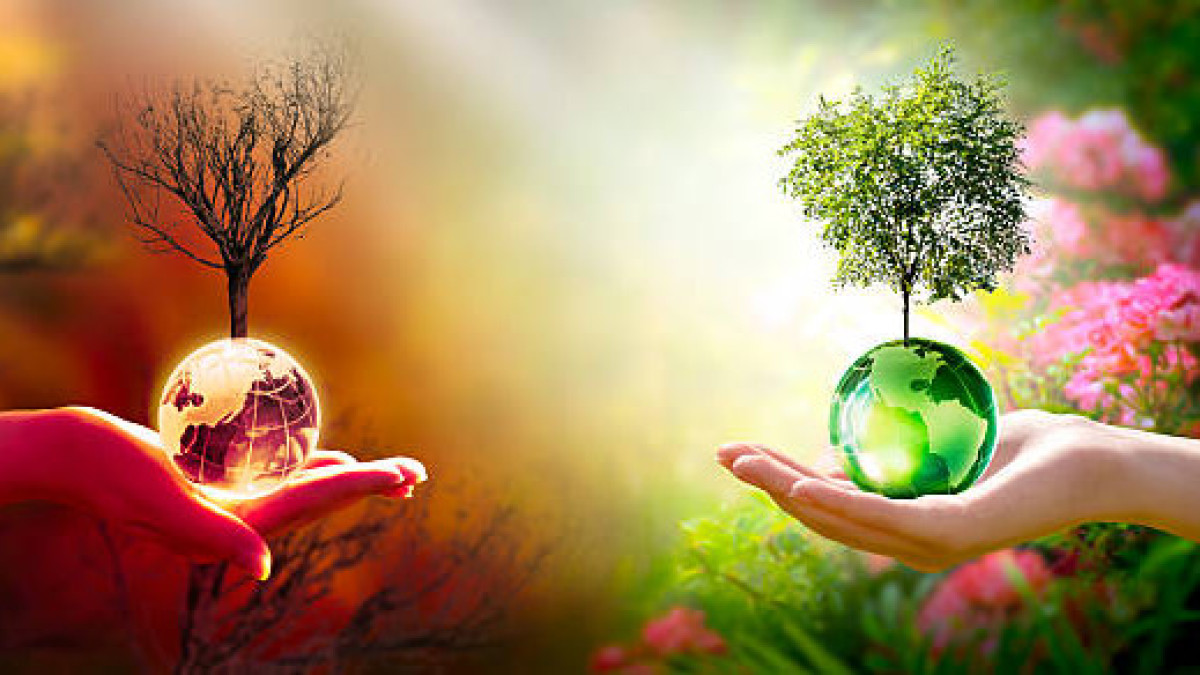  Istockphoto