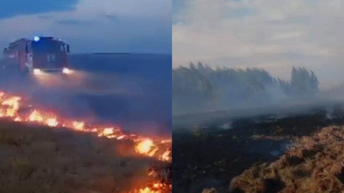  Кадры видео ДЧС